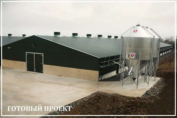 Этапы возведения птицефабрики от завода ВелесТент-срв